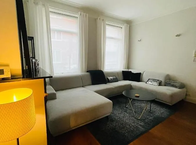 O-sea House: Herenwoning In Belle Epoque Wijk Te Villa *