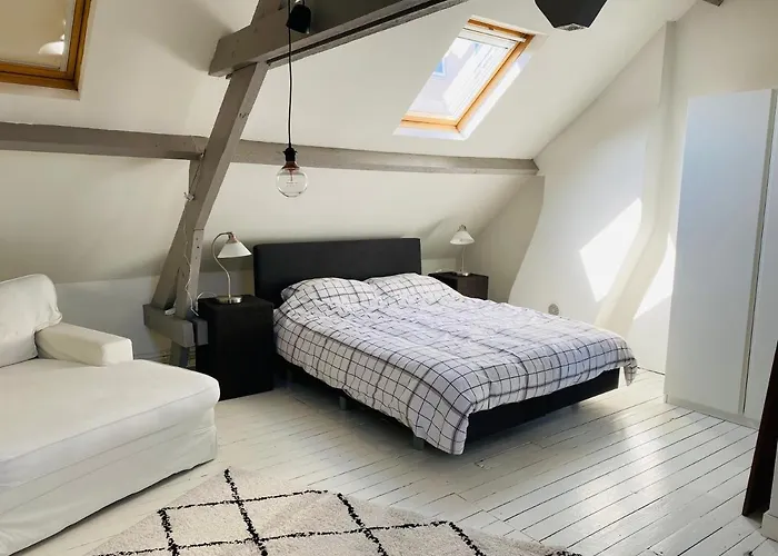 Villa O-sea House: Herenwoning In Belle Epoque Wijk Te Ostend