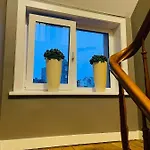 O-sea House: Herenwoning In Belle Epoque Wijk Te Villa *