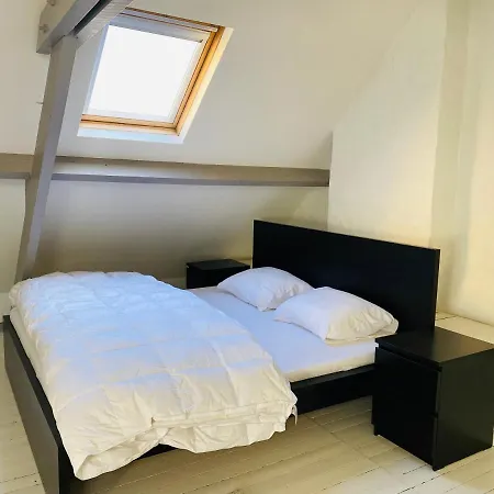 O-sea House: Herenwoning In Belle Epoque Wijk Te Вилла