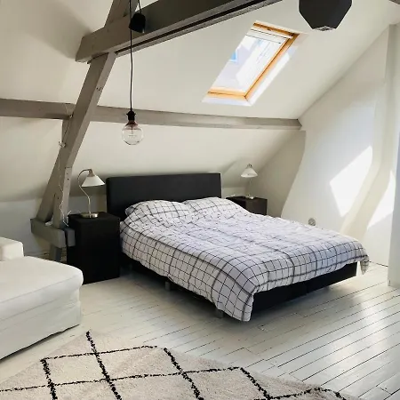 Villa O-sea House: Herenwoning In Belle Epoque Wijk Te Oostende