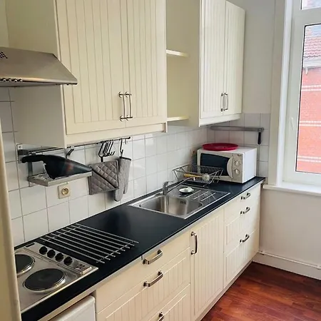 O-sea House: Herenwoning In Belle Epoque Wijk Te Villa *