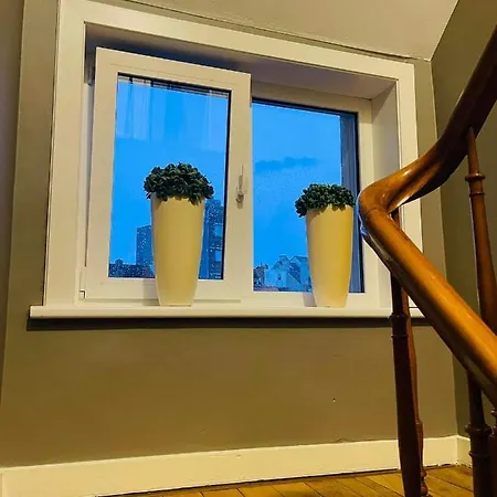 O-sea House: Herenwoning In Belle Epoque Wijk Te Villa *